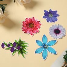 ���ȵ���껨���o��N���䴰���N���b��N��ͨ���䙻���N���l