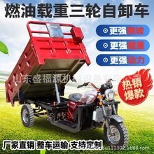 宗申发动机汽油三轮摩托车燃油家用农用自卸载重王汽油三轮车