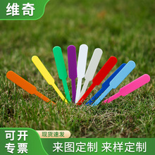 100��pp����@ˇ�˺��Ӻ� ����ֲ�ﻨ�ܘ��R�Ʒ�ˮ����@ˇ�����