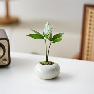 Mini Bamboo Plant Desktop Tea Pet Green Plant Purifies the Air Indoor Potted Plant Cute Little Ornaments Flowers Easy to Feed