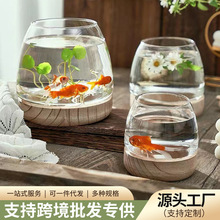 日式木底玻璃花瓶客厅插花摆件透明微景观生态瓶水培植物圆形鱼缸