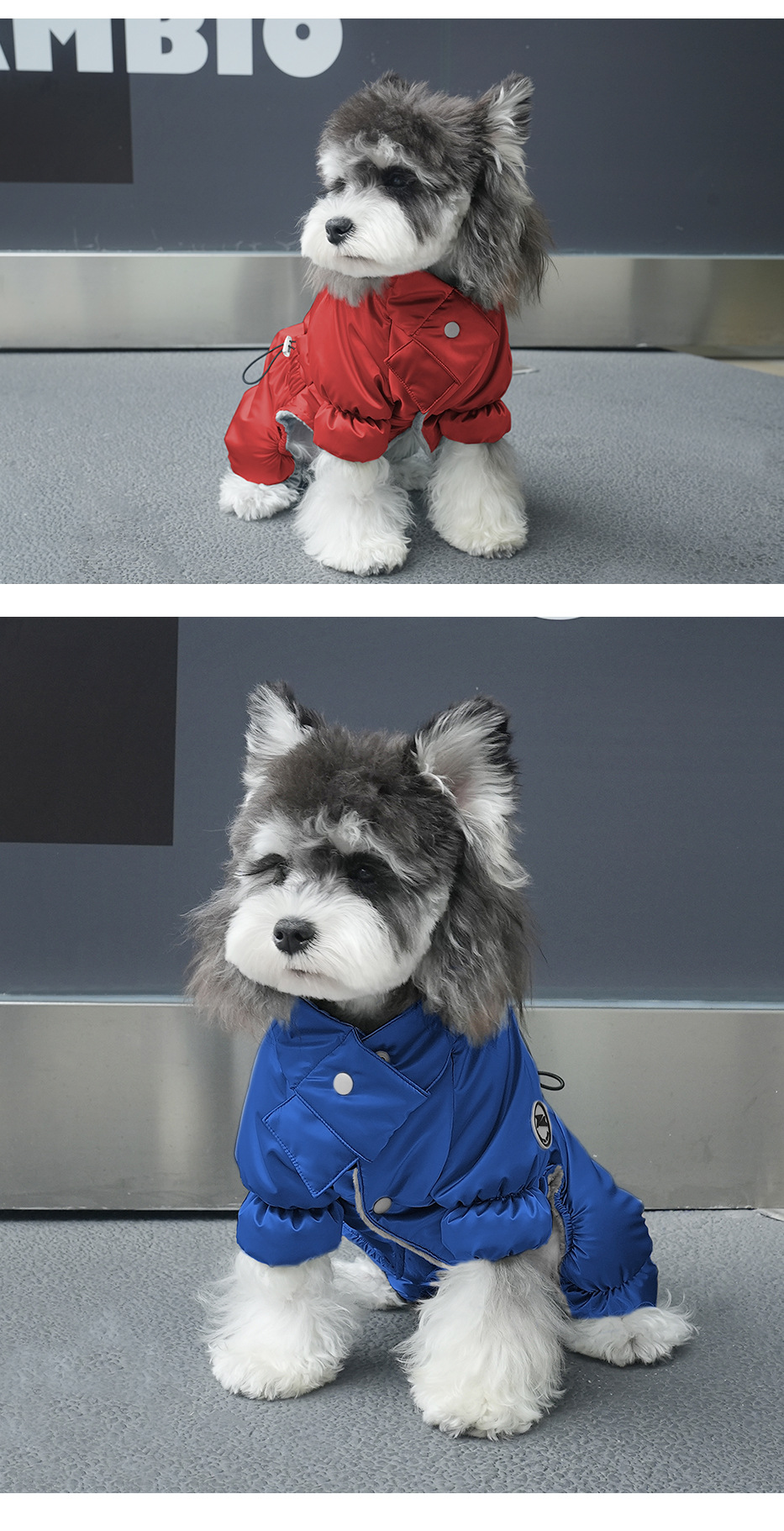 Warm comfortable fashionable dog down jacket - Stylish and durable outerwear