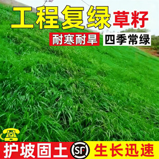 ��β�Ͳ��Ѹ���é�첥��ϲ�ݵVɽ�;G�o���ͺ��ͺ����|��ƺ������