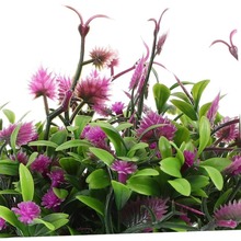 羳ֲ҃ϻbm춑ⷿb