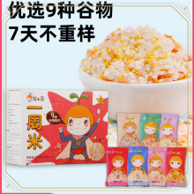 JN一周米宝宝粥辅食营养粥儿童小米胚芽五谷杂粮面送婴儿食