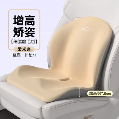 Waist support, Cushion and Backrest for Office Use, Waist Support for - seat-cushion-i-697797ab-roumi-apricot