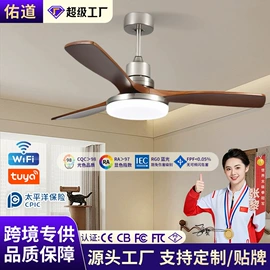 风扇灯;吸顶灯;吊扇