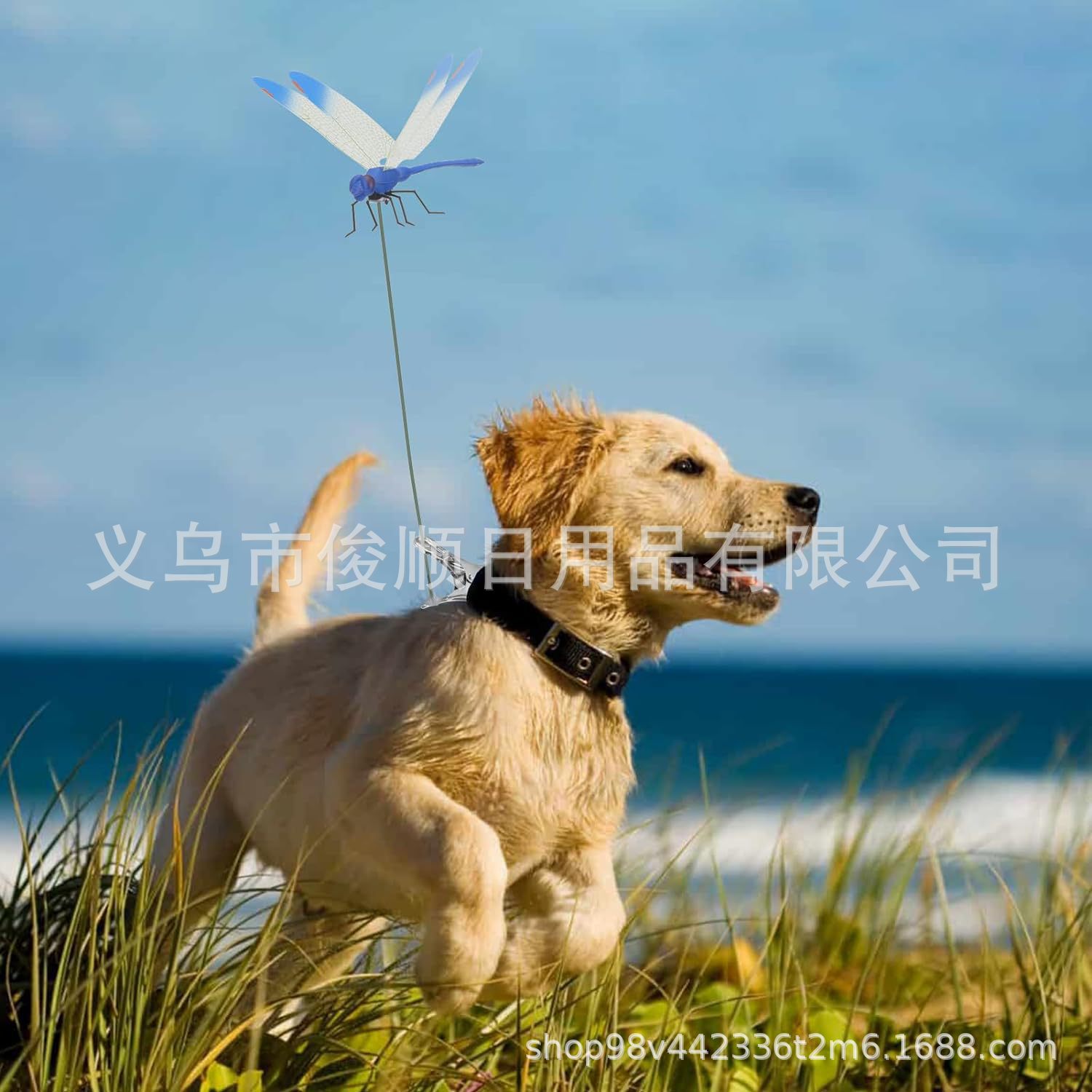 가짜 잠자리 클립 가짜 잠자리 클립 파리를 쫓아내는 장  클립 3D 잠자리 장  클립