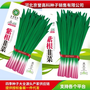 �ϸ��²��ļ��߲˷N�Ѽ�ͥ�@ˇ����СԺ�N���׳ɻ�֧��һ�����l