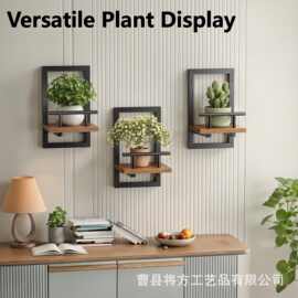 木质置物架壁挂式绿植摆放展示架多功能家用墙上置物架摆件装饰架