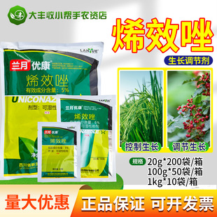 �m����5��ϩЧ����������rșˮ��������ֲ�����L�{����20g-1kg