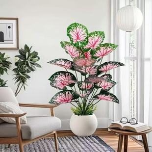 �羳���W�L�����~�҃���ؔzӰ�b�ֲ�﹝���b�c���澰Ʒ