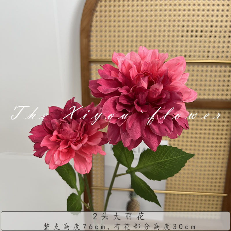 2頭の大麗花莫奈花園風喫茶店のセットです。|undefined