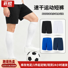 速干冰丝男士短裤薄款2025新款爆款运动篮球室外跑步五分休闲裤子