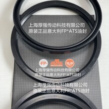 ԭ�b�����.FP.ATS�X݆��ȹǼ܆δ����D�ͷ�FP G 250*280*15 NBR