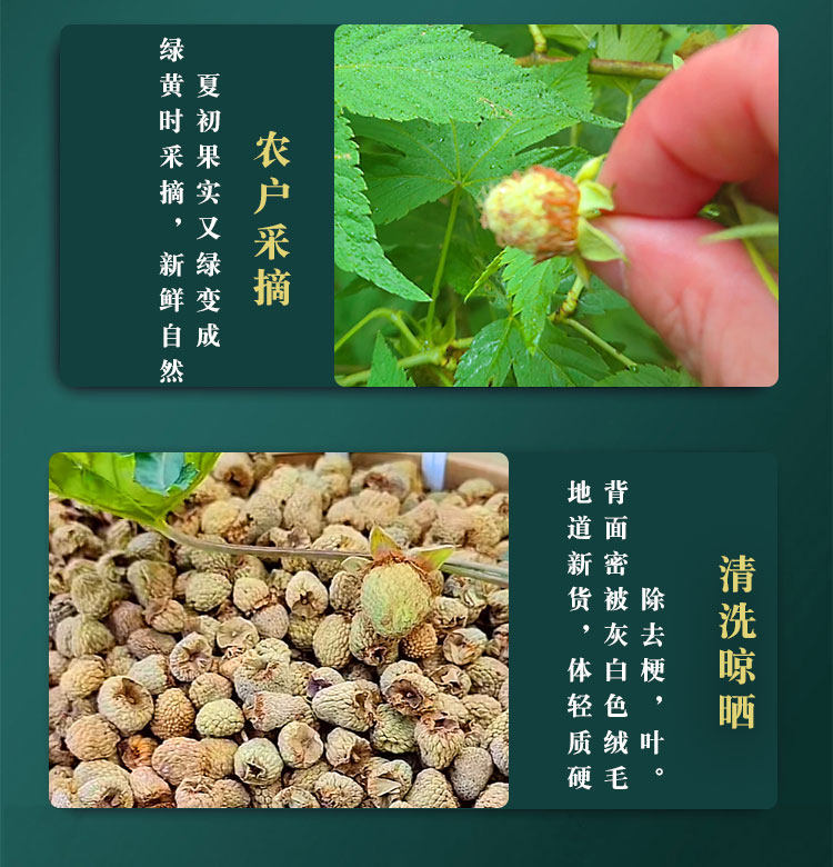 Fu Pen Zi Dried Raspberry Fruit 100g Wild Five-Lobe Rubus for Herbal Tea and Decoction quality and texture