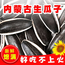 生葵花子 生葵花子品牌 图片 价格 生葵花子批发 阿里巴巴