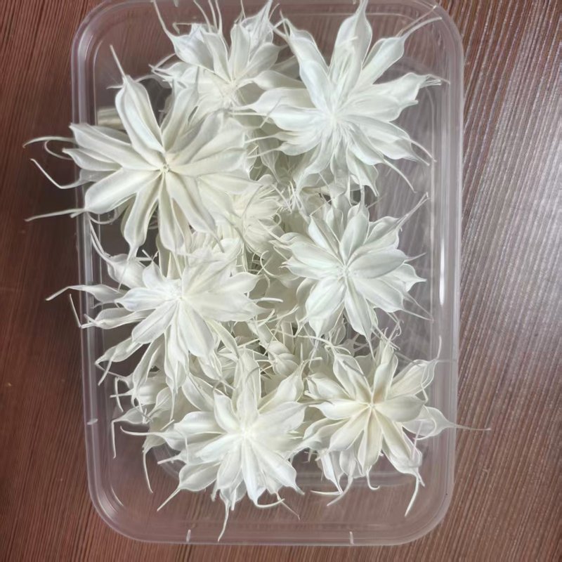 工厂昙花干花手工花家居软装花材花艺设计轻奢小众软装花艺|undefined