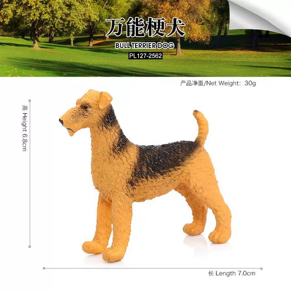 PL127-2562 million stalk dogs