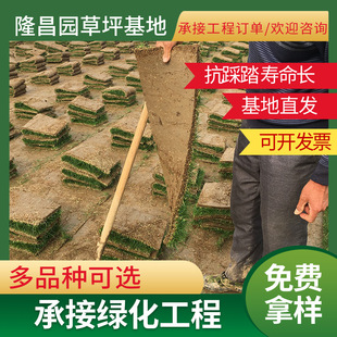 Base Wholesale Four Seasons Green Lawn with Soil Real Turf House Golf Course Greening Garden Courtyard Greening