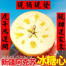 【正宗】新疆阿克蘇蘋果冰糖心新鮮紅富士蘋果整箱批發3/5/10斤