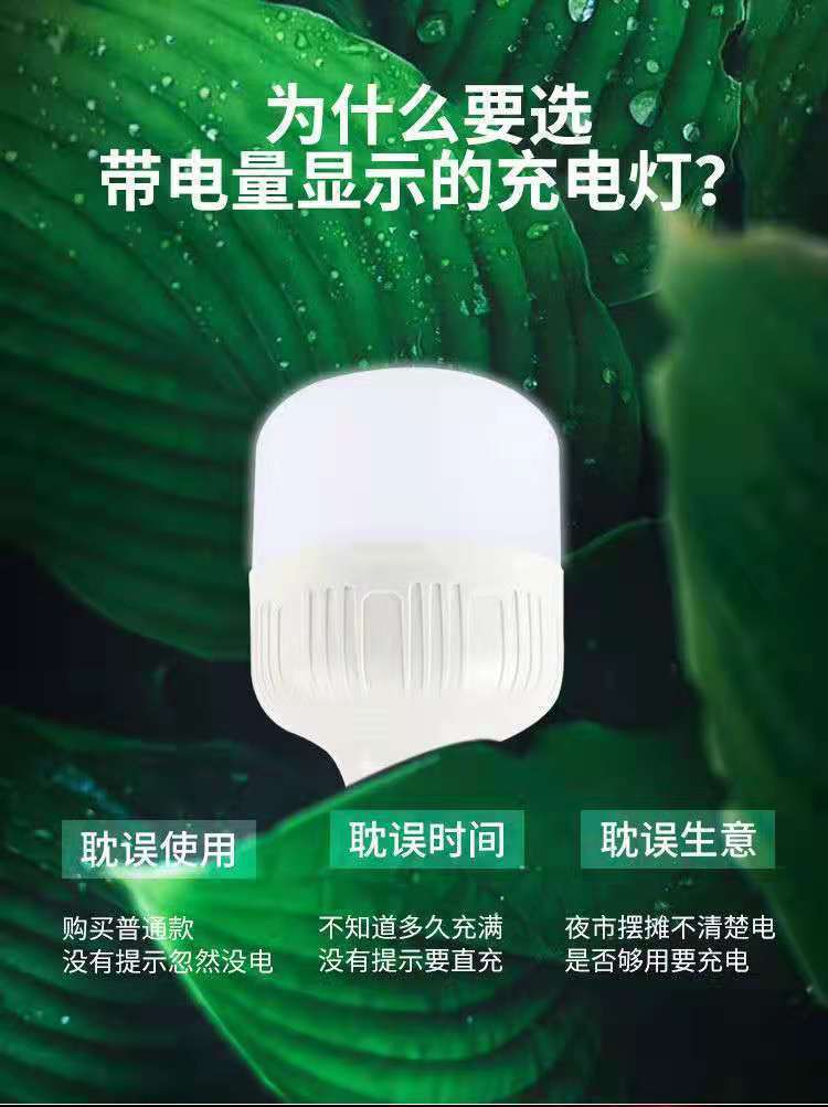 99fb5619-d288-4139-9988-78917e8b2dc8.jpe