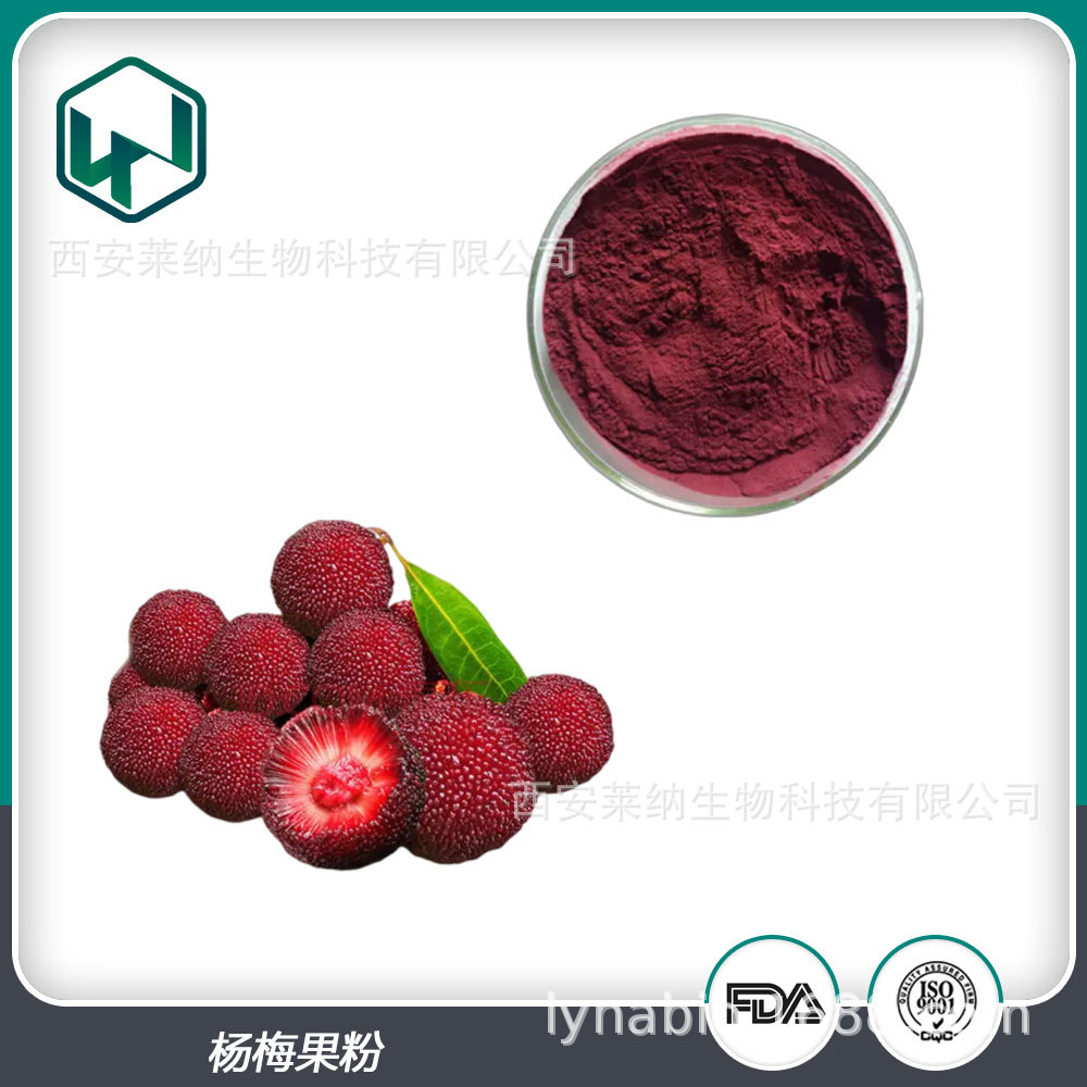 杨梅粉 99%含量速溶水溶天然植物提取果蔬粉 现货包邮量大从优