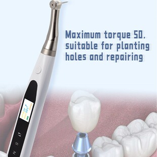 ���Ɵo���NֲŤ�ذ������Ɣ��ֻ�늄ӷNֲ���ֿ������÷Nֲ���b