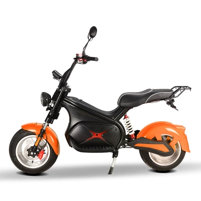 Warehouse Direct Delivery, Elektrikli motosikletlər