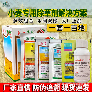 �Y�R��ЧС��������ó��݄��M�����b����p���M���rș���һ