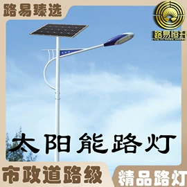 太阳能灯;庭院灯;道路照明灯