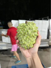 ����S���\�����ϱ��ش�Ŀ��ȹ����]���r�P��ţ�̴�Ŀ���