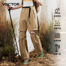 VECTOR�_�hѝ�ɲ�ж��ɽ�L��ѝ����Ů��ˮͽ������һ��������eѝ