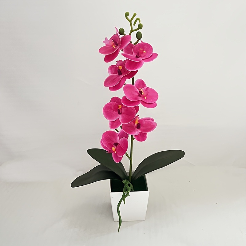 로즈 레드 39*23cm