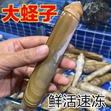 �����|�Ӻ��rˮ�aؐ��r���|���ك����r�|��Ұ���p�^�|��͘��ؐ