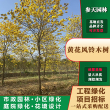 �F���S���L�ľ�����S���L�ľ�����S���L�ľ���l�S���L�ľ����