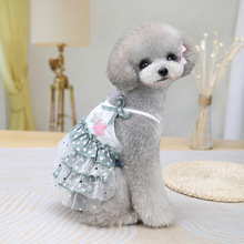 HONGHONGPET¿· ȹbl F؛