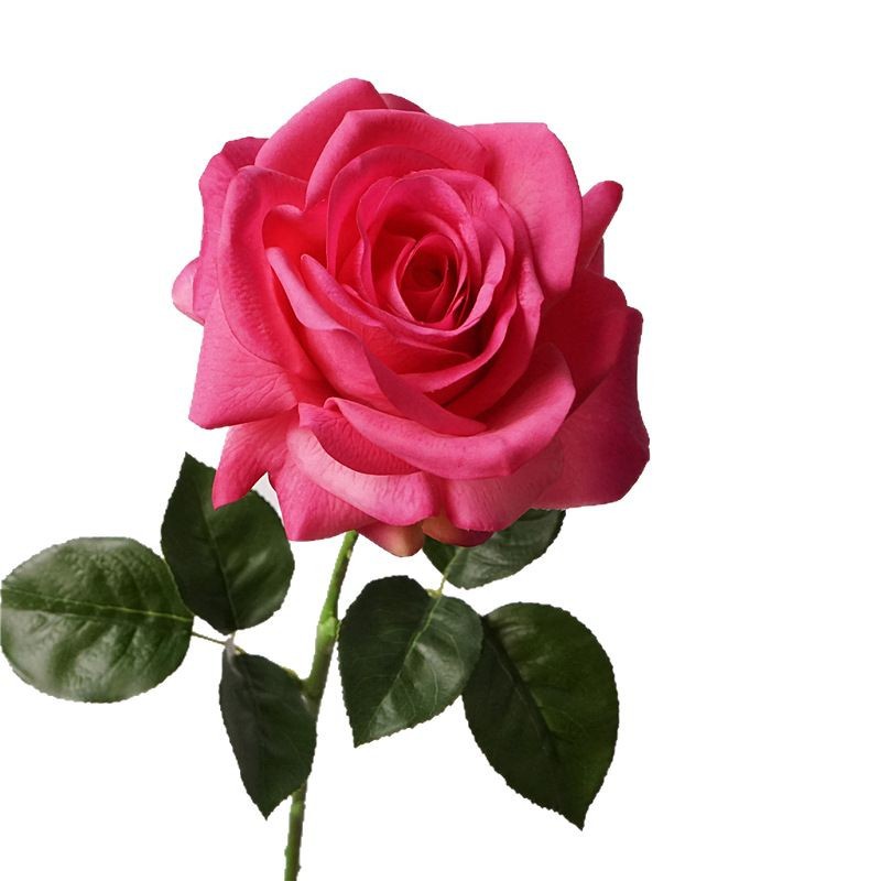 Nueva sensación de rosa humectante imitación flor de canto de mar de alta gama flores falsas decoración floral sala de estar vestíbulo suave