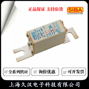 2028204 Siba SIBA Fuse DIN000-80/100/125/160A Fuse