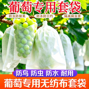 ͨ�ßo�������z���o�״����ї����殐��͸��͸�����ω¶�첼����