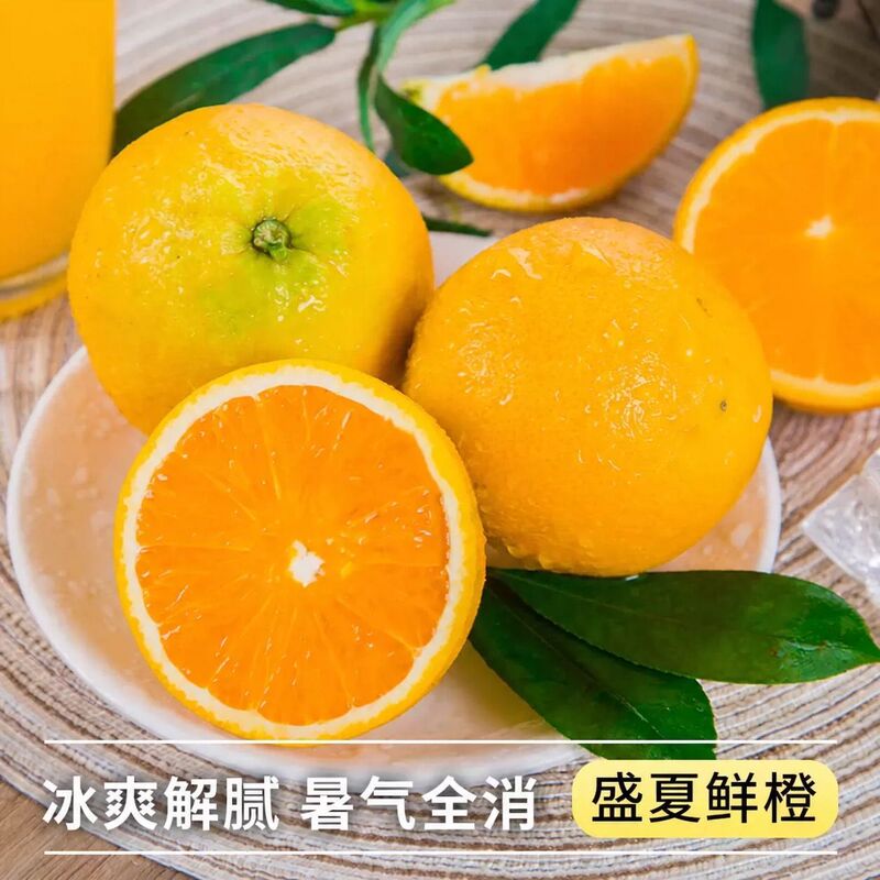 Hubei Zigui Summer Oranges, Fresh Navel Oranges, Whole Box of Fruit, Juicy Oranges for Juicing, Sweet and Sour, Wholesale and Dropshipping Hubei Zigui Summer Oranges, Fresh Navel Oranges, Whole Box of Fruit, Juicy Oranges for Juicing, Sweet and Sour, Wholesale and Dropshipping