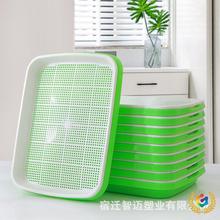 ?����Pһ��������ѿ�lѿˮ���߲��������㶹��Nֲ��ѿ���