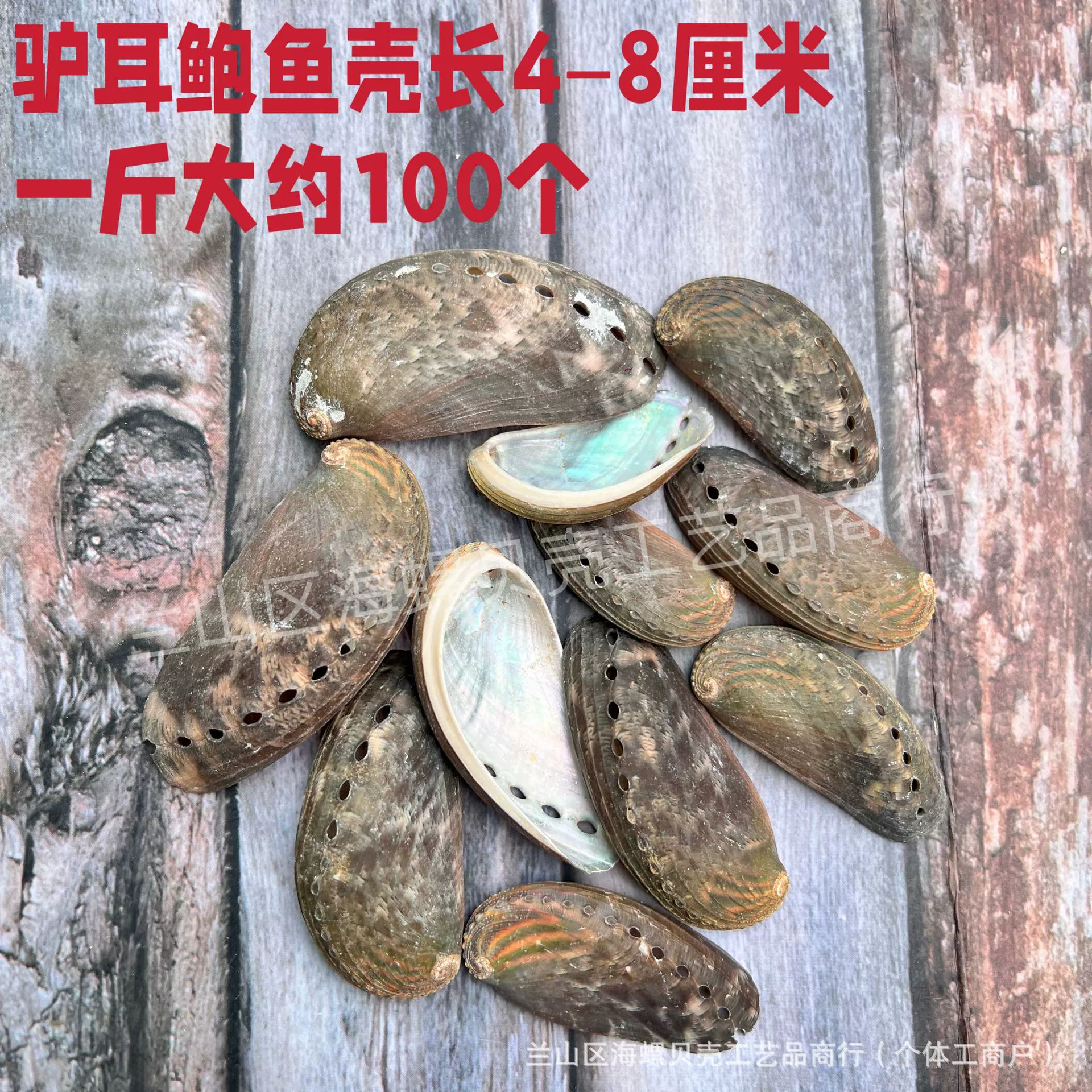 Shell Natural Shell Conch Stars Drifting Bottle Shell Crafts Wholesale Diy Handmade Shell Materials