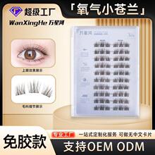 �nϵ����ɫС�n�m�ٽ�ë�o�����z�۽�ë����������Ȼ�ٽ�ë����