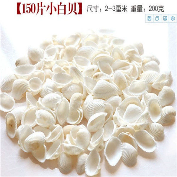 150 white clams