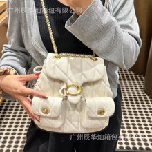 ޢC��С���LTabby����p�����Ƥ朗l�����r�аٴ�μ�б�汳��Ů