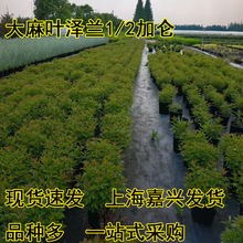 �����~���m���Զ������ͺ��͟��޸�����ֲ��ͥԺ���^ֲ�����e�N