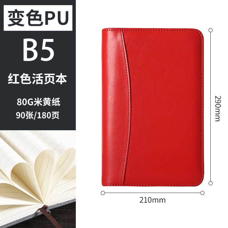 섹션 B5