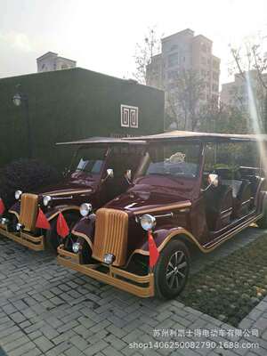 6座电动看房车电动老爷车电瓶老爷车报价参数及图片|ms