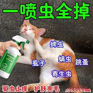 ���������w�������幷����Ч��x���F���\������ʭ8